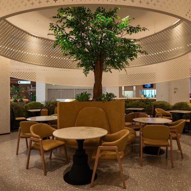 School choices for expat families in Lisbon, Portugal