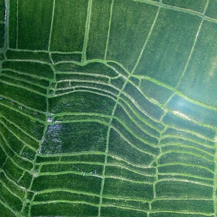 Outdoor terrace seating suitable for families in Lisbon