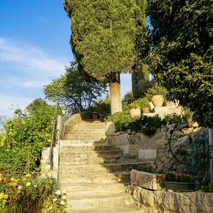 Entertainment zone at night in Portugal